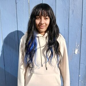 Fashion Wig black with blue underneath